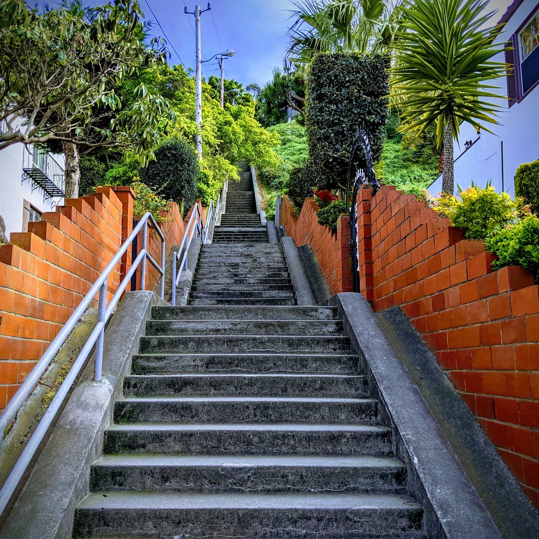 15th Avenue Steps 1
