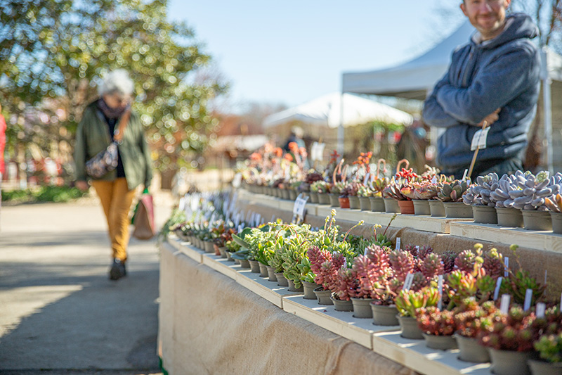 Terra Botanica Plant Market 1
