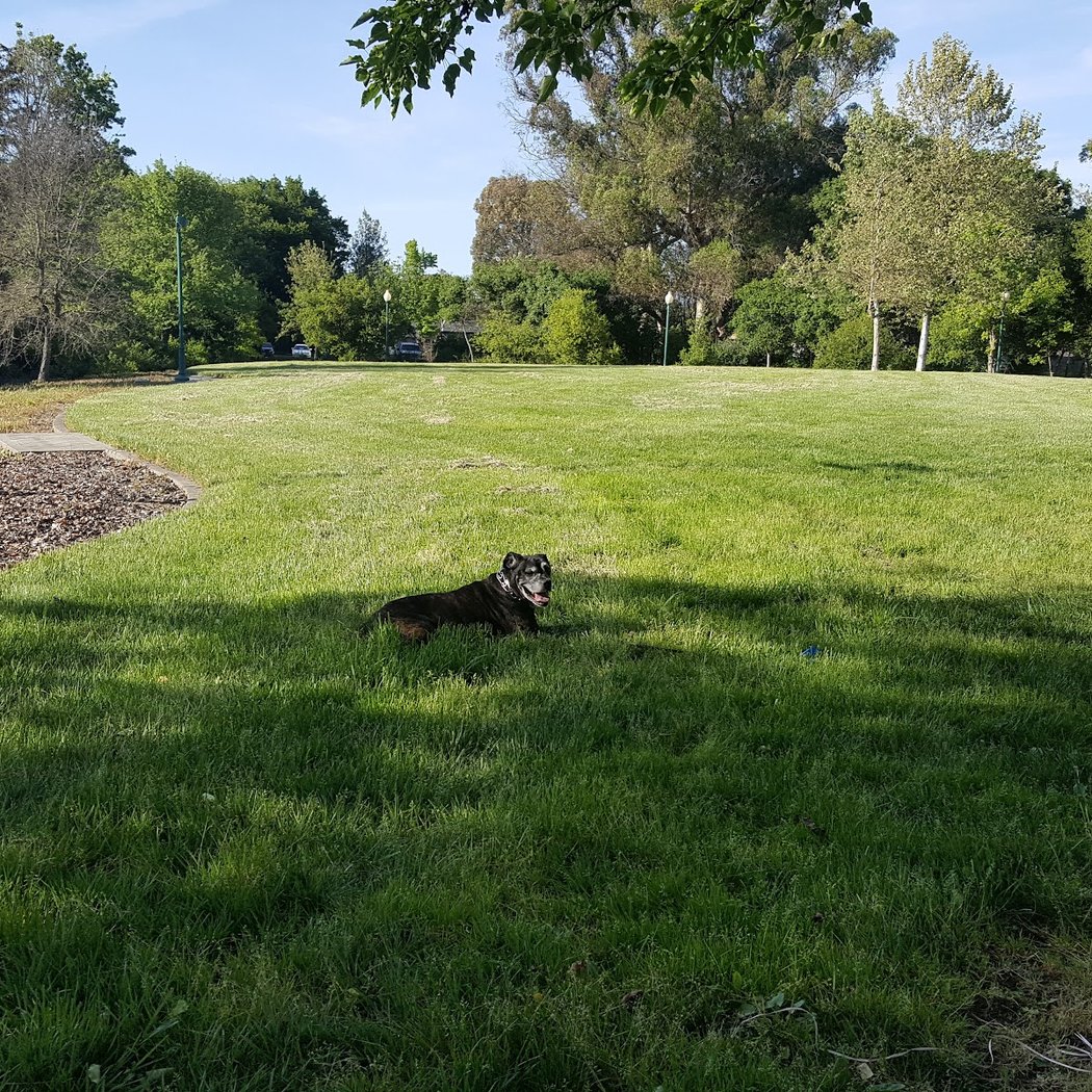 Colgan Creek Park 3