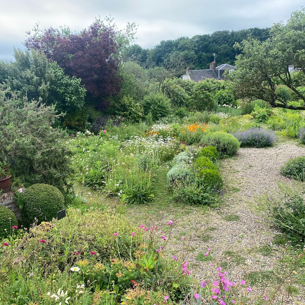 Herbarium des Remparts 3