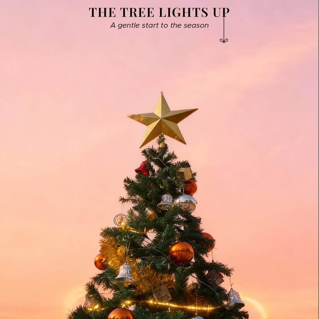 Christmas celebrations 1