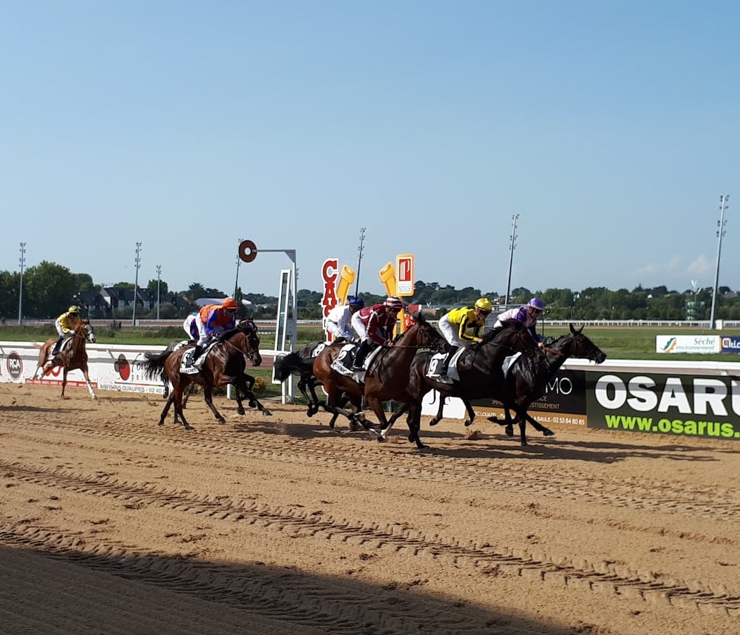Courses de trot et galop 1