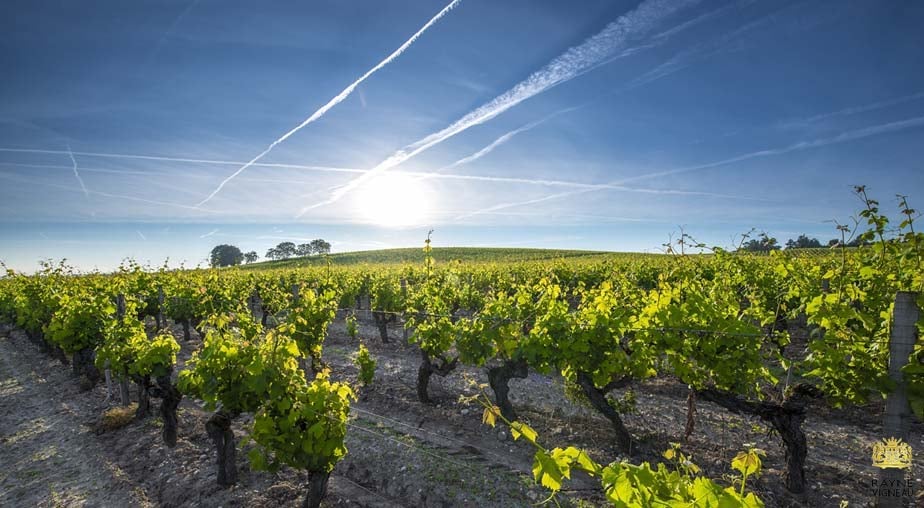 Château de Rayne-Vigneau 1