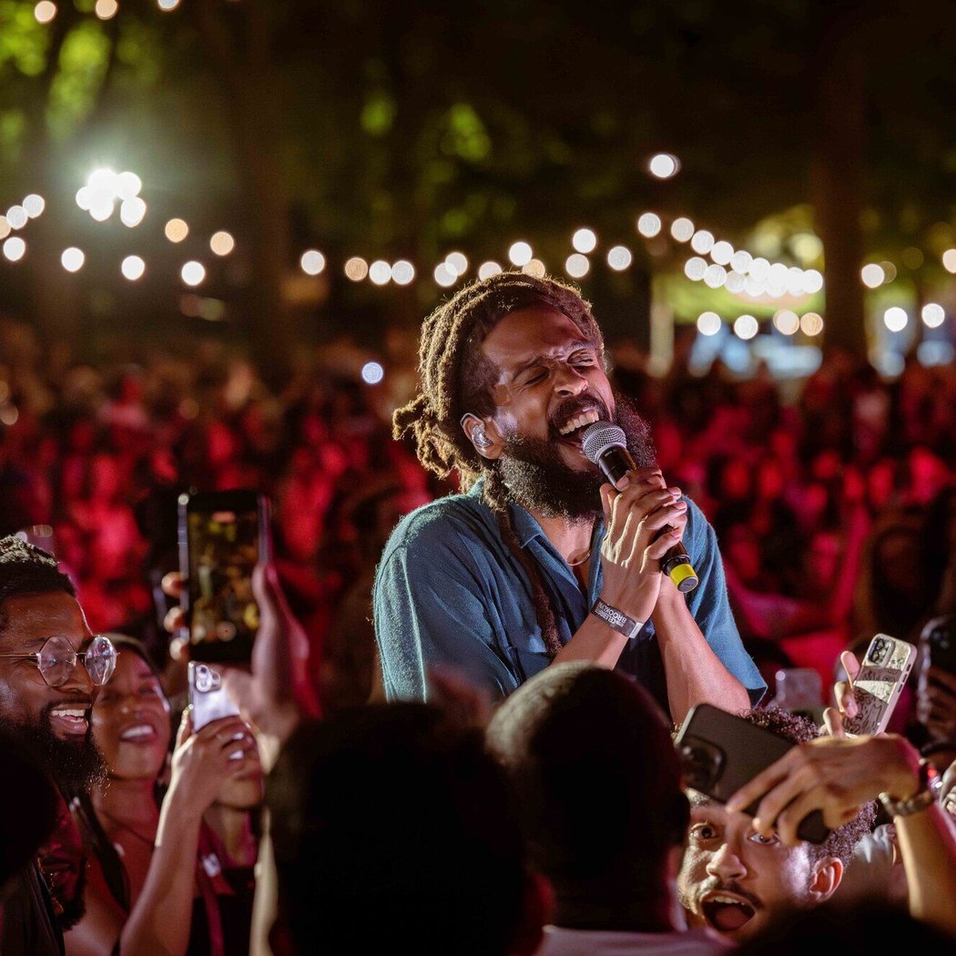 BRIC Celebrate Brooklyn! Festival: Reggae Night 1