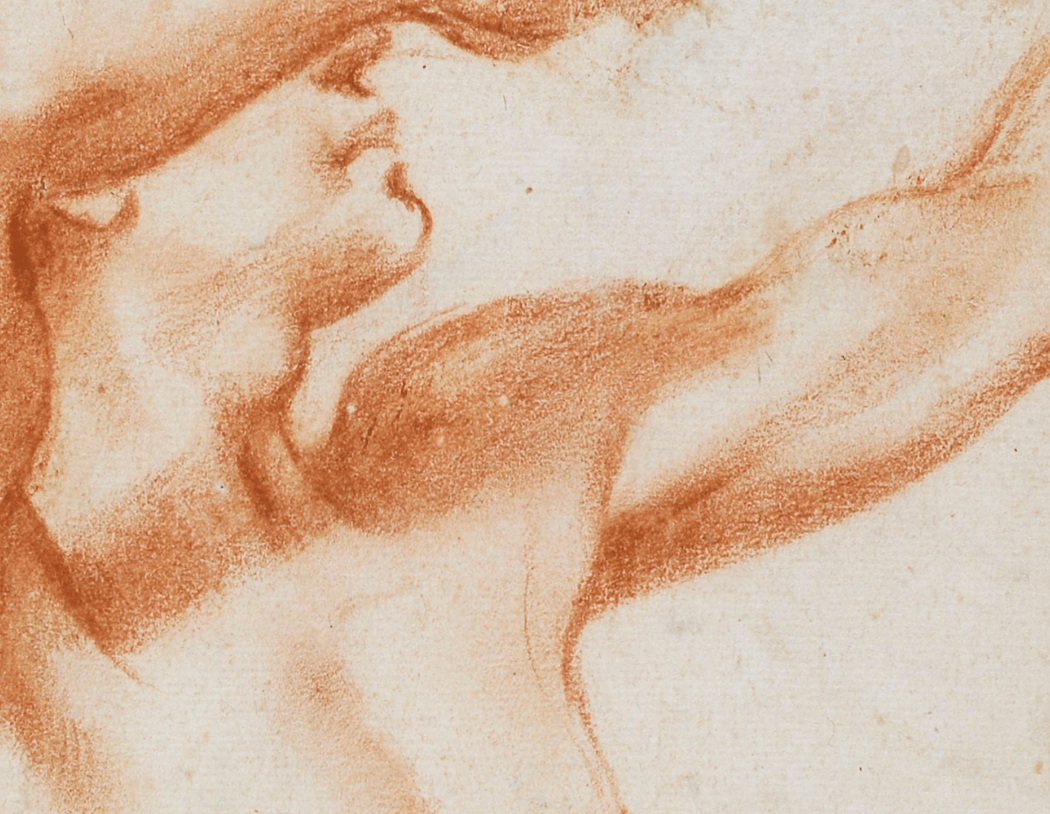 Mini-visite de l'exposition "Dessins des Carrache : La fabrique de la galerie Farnèse" 1