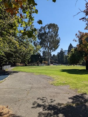 Mosswood Park 2