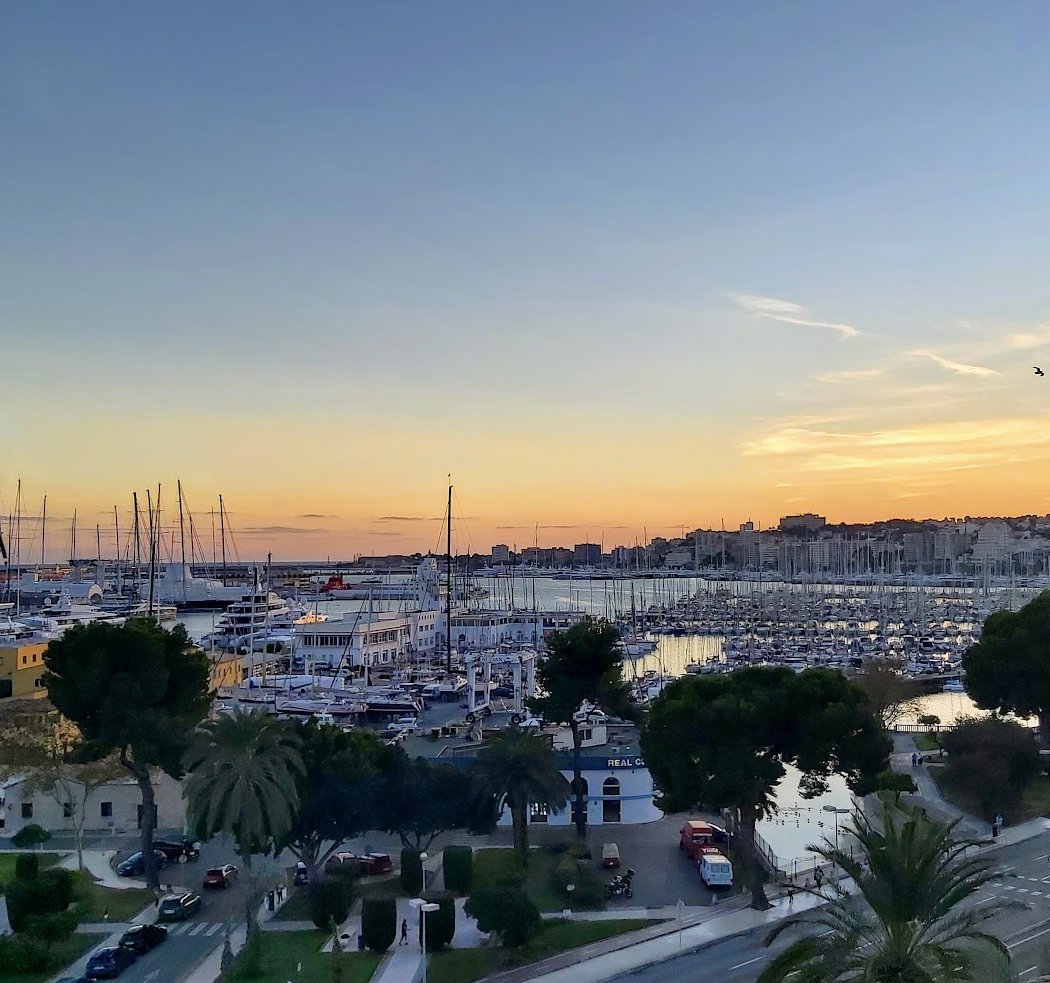 Port de Palma Triathlon Mallorca 2026 2