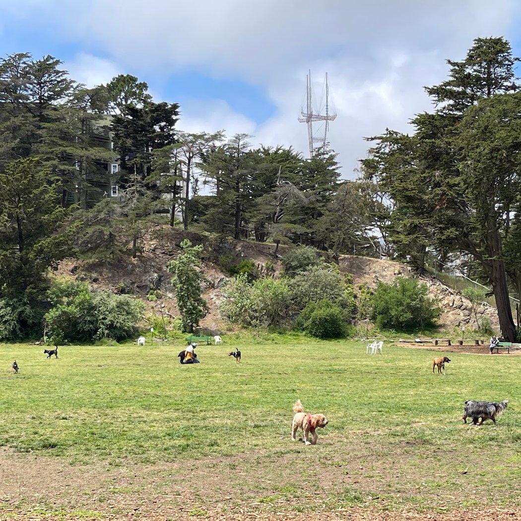 Upper Douglass Dog Play Area 2