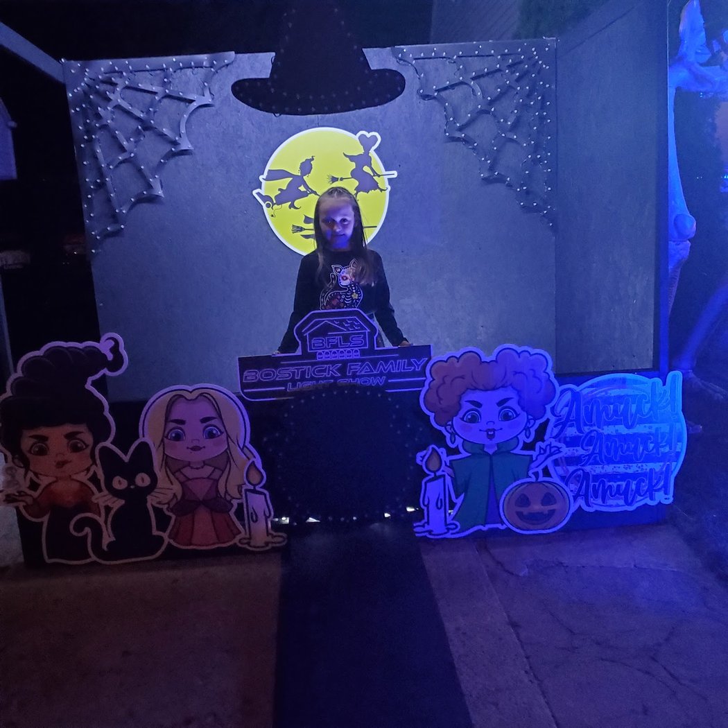 Bostick Family Light Show 2