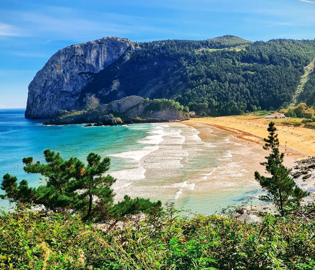 Urdaibai Biosferaren Erreserba 5
