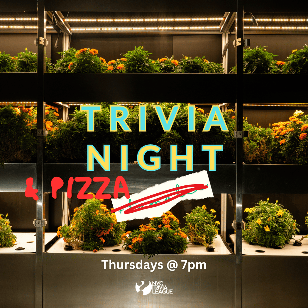 Trivia & Pizza 1
