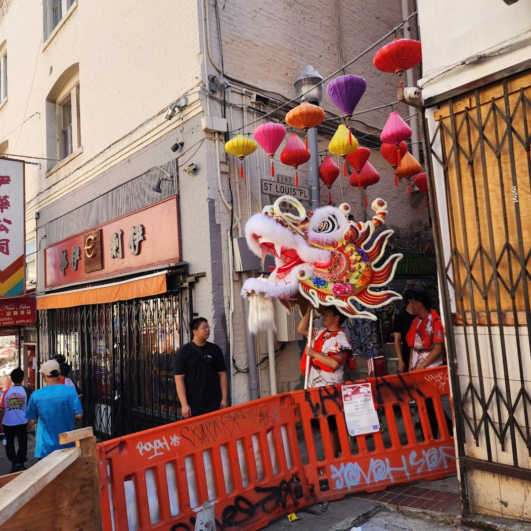 Leung's White Crane Dragon & Lion Dance Association 3