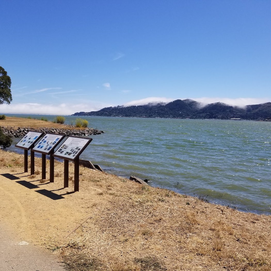 Wed Ride - Deb's Diversion - Paradise Drive plus Birthday Party 3