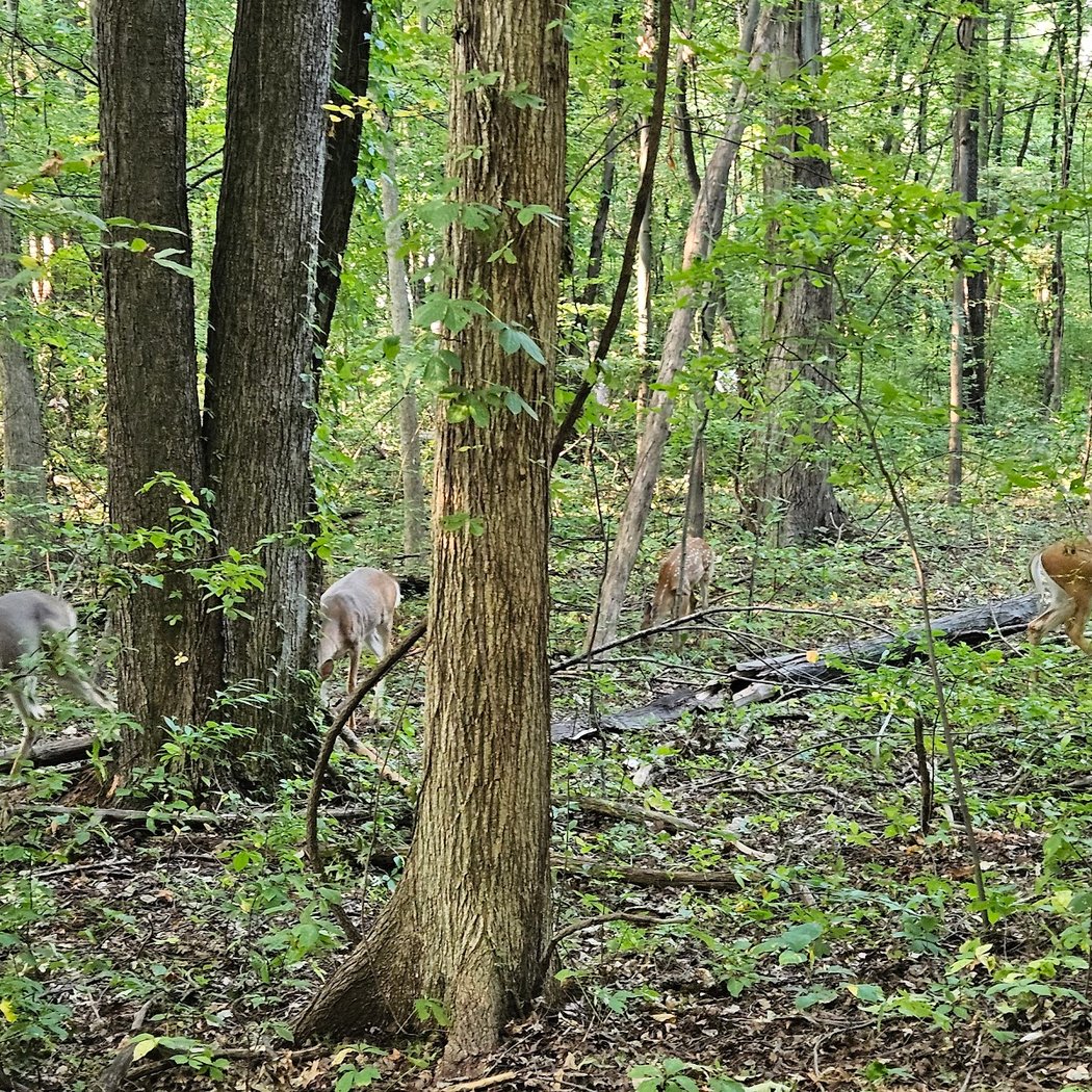 Red Oaks Nature Center 3