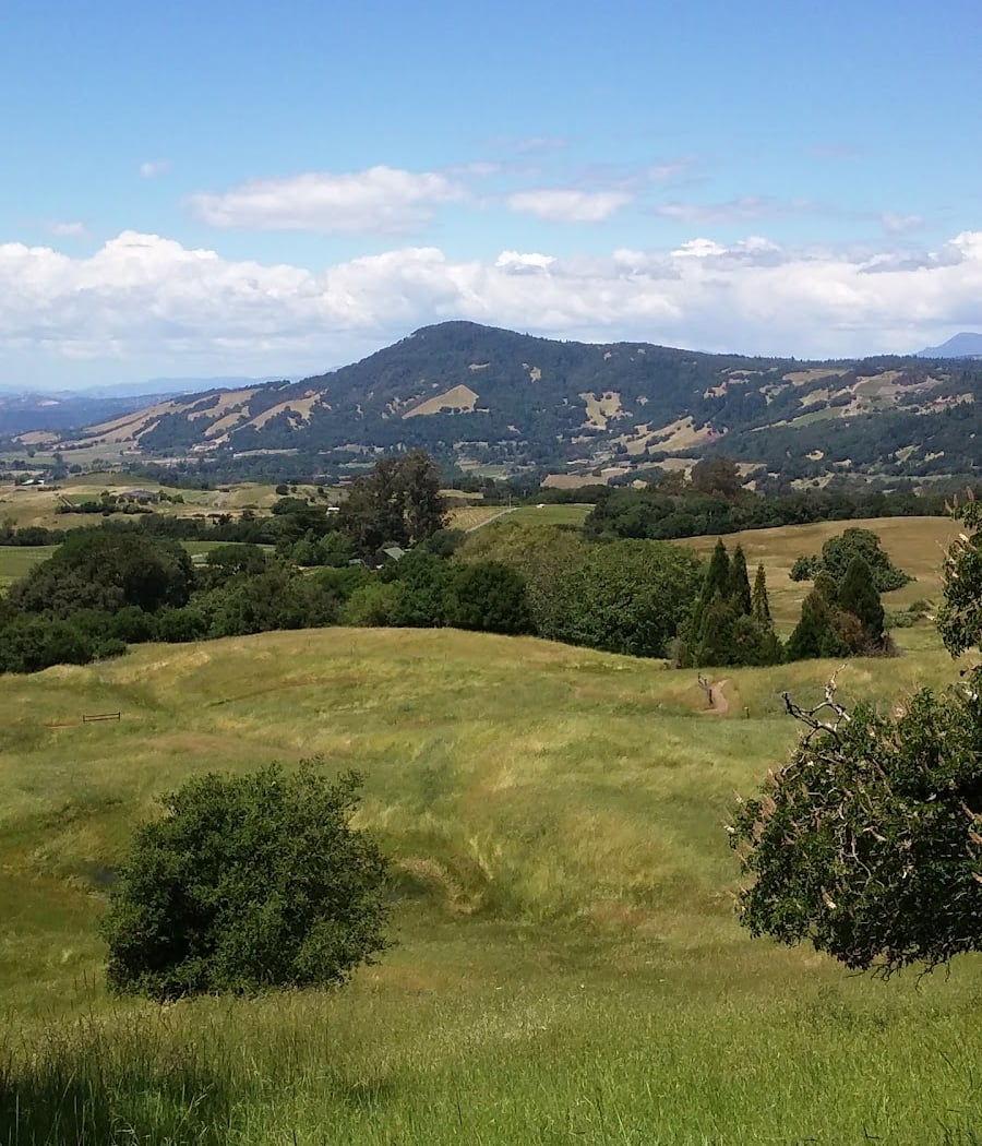 Sonoma Mountain Rd 2