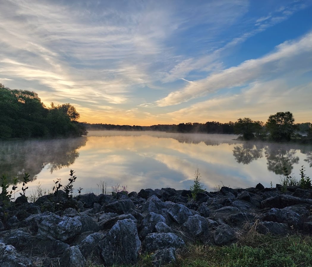 Busse Woods 1