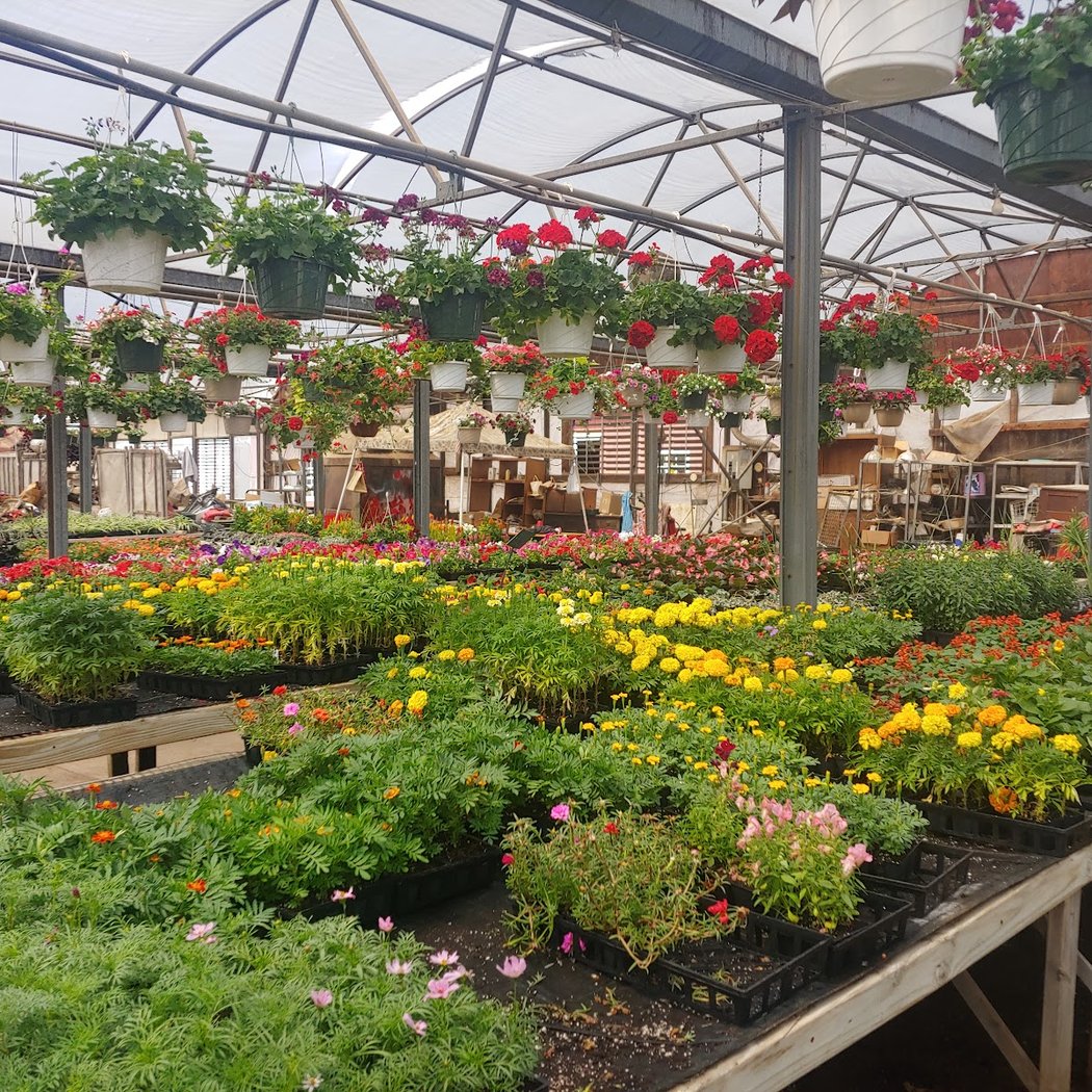 Hoeffner Farms Inc 1