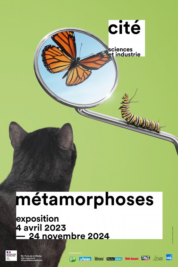 Métamorphoses 1