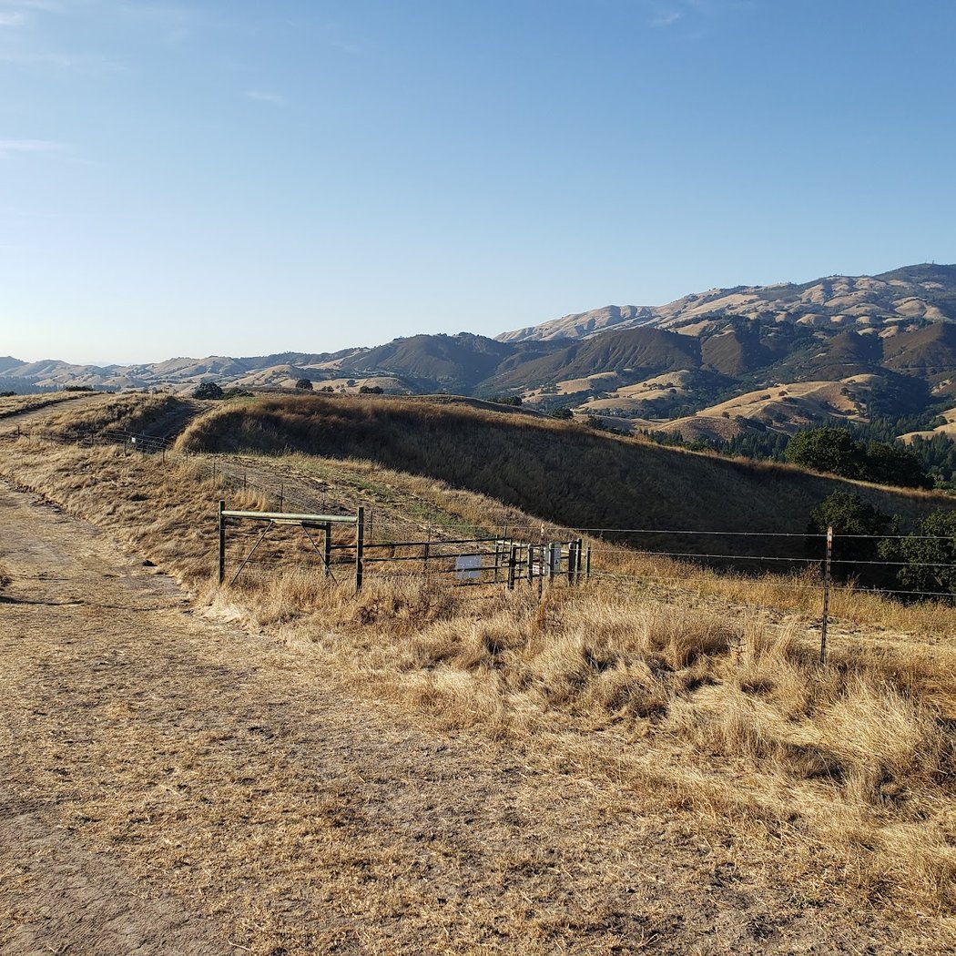 Sycamore Valley Regional Open Space Preserve 2