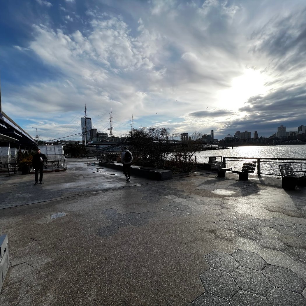 Dog Park East River Esplanade South 3