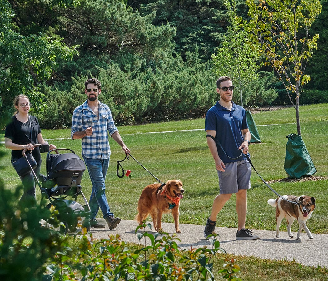 Dog Admission Day