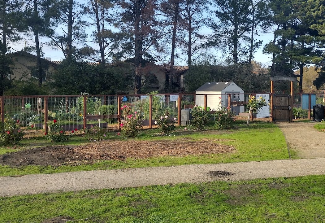 Millbrae Community Garden 2