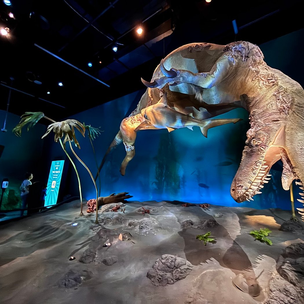 Edelman Fossil Park & Museum of Rowan University 1