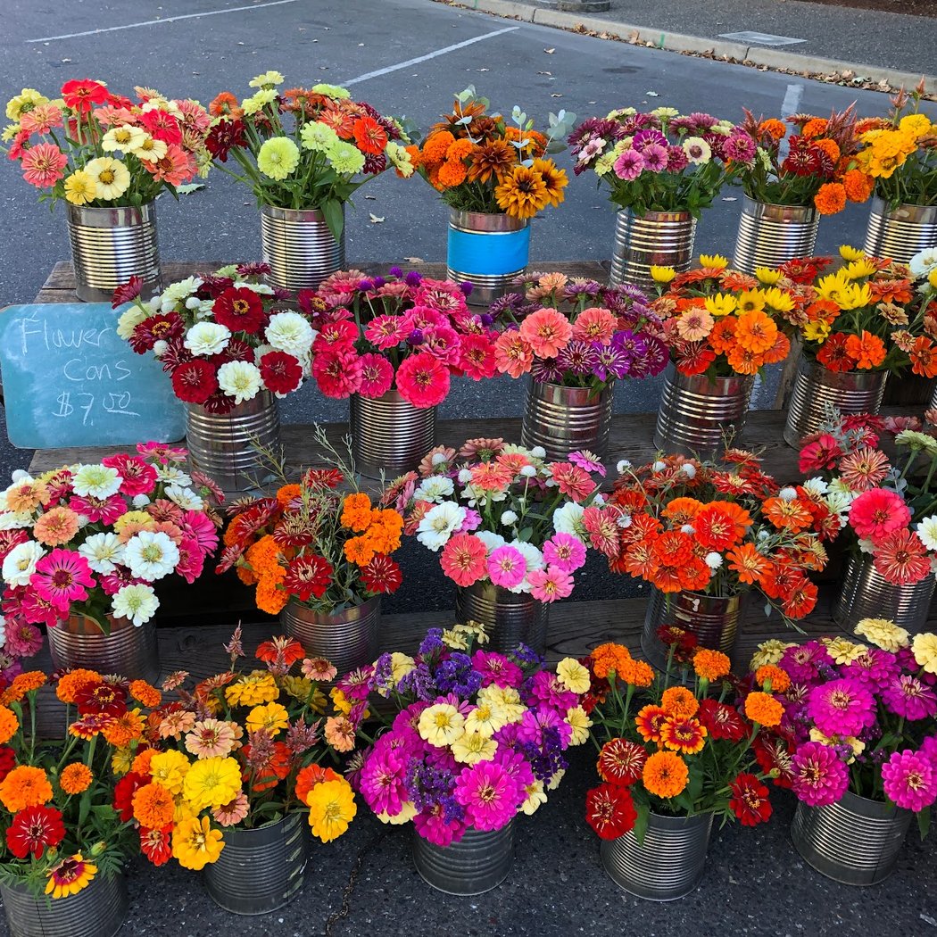 Windsor Certified Farmers Market 1