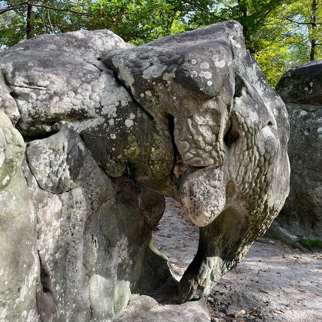 Les Gorges d'Apremont 3
