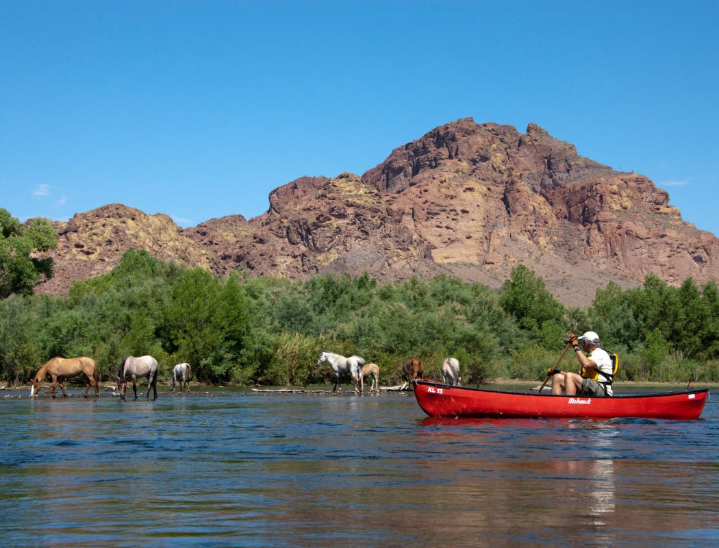 Kayaking the Salt River Foxtail Trip 2