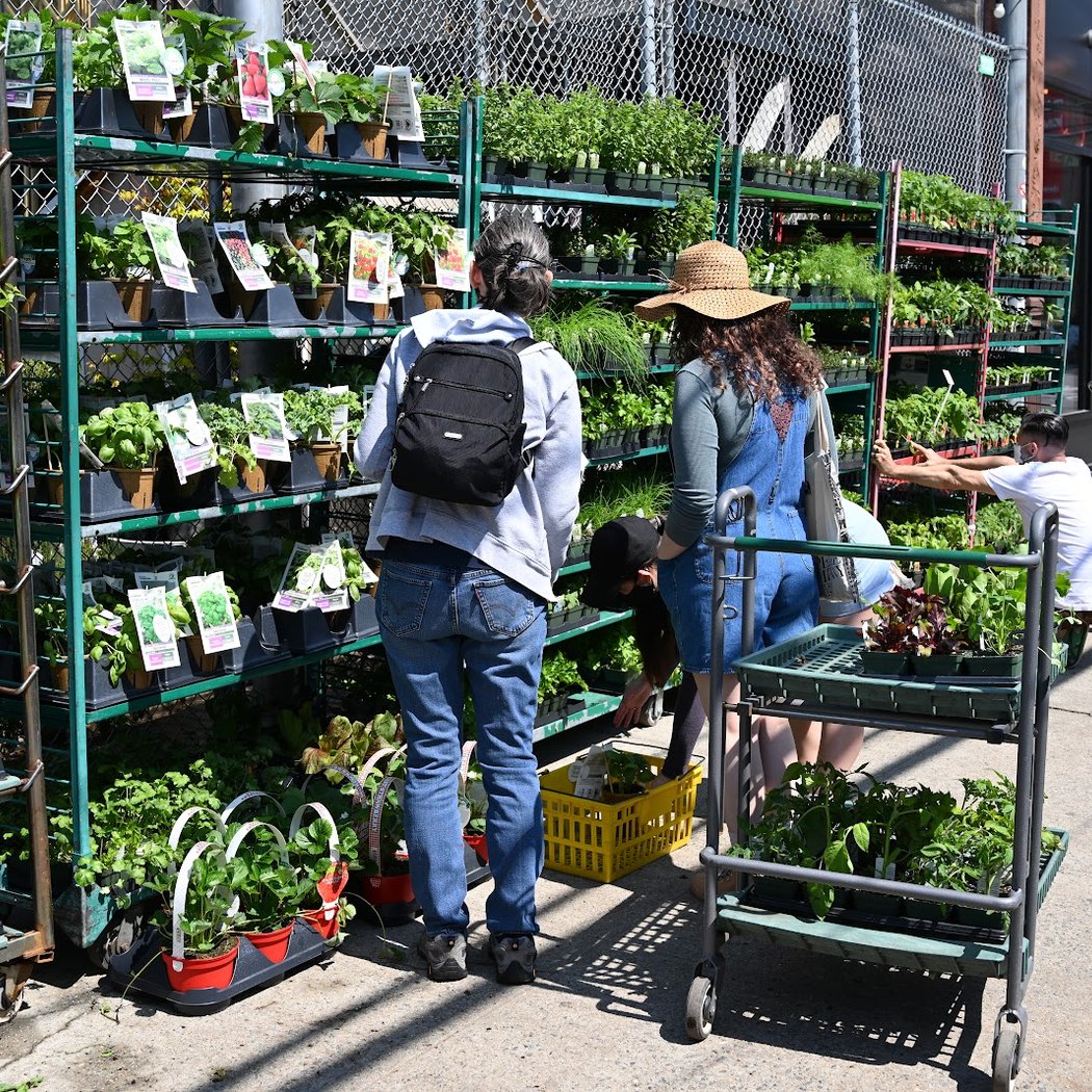 Chelsea Garden Center 3