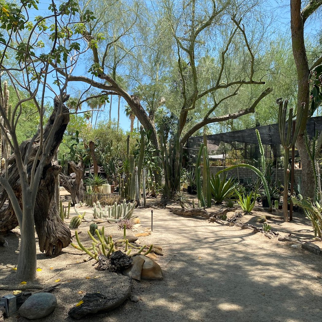 Moorten Botanical Garden 1