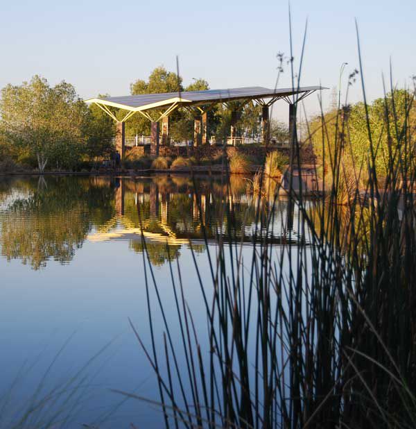 Rio Salado Habitat Restoration Trail Walk 2