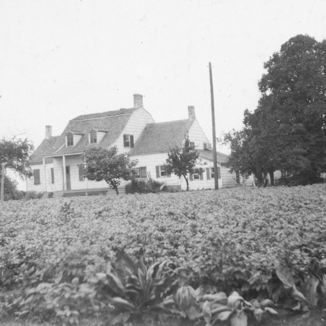 Hendrick I. Lott House 2