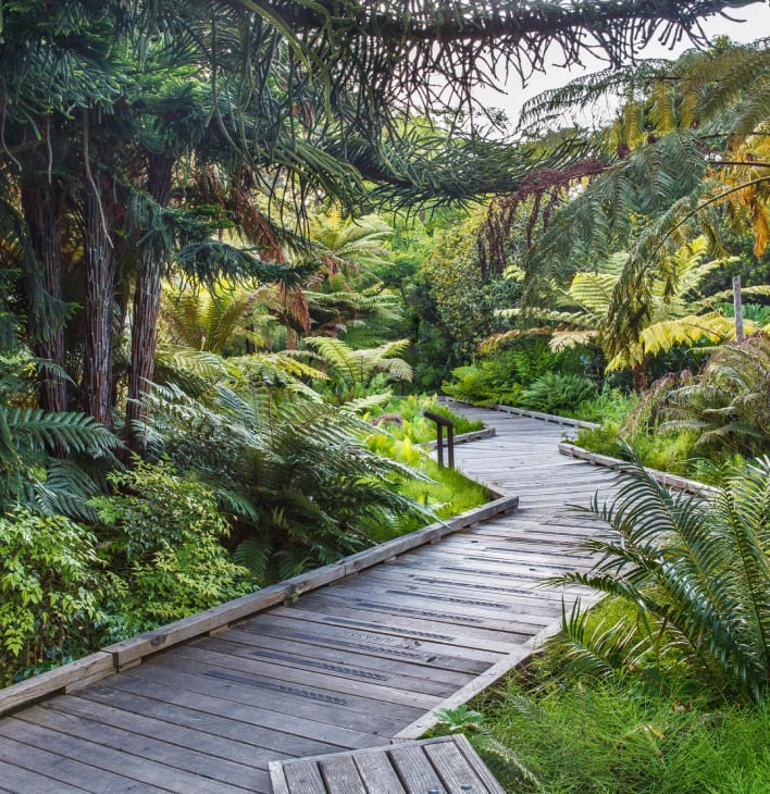 San Francisco Botanical Garden 1