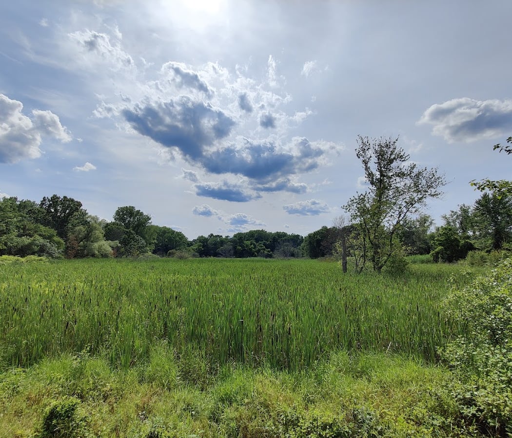 Migration Rest Stop: Urban Wetlands Bird Walk