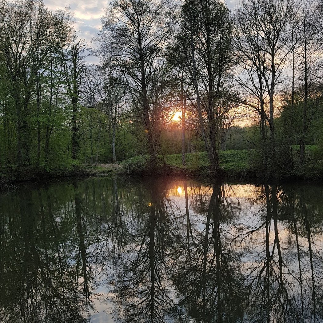 Forêt Régionale de Ferrières 1