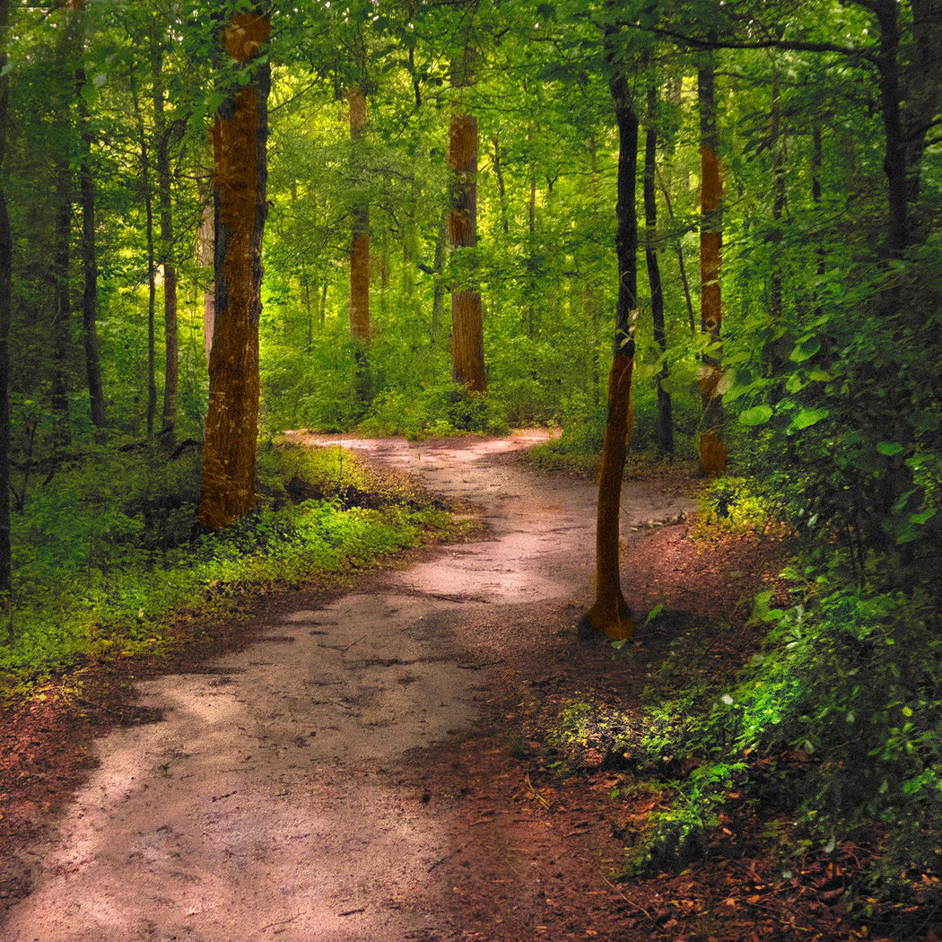 Mindful Walk & Talk 2
