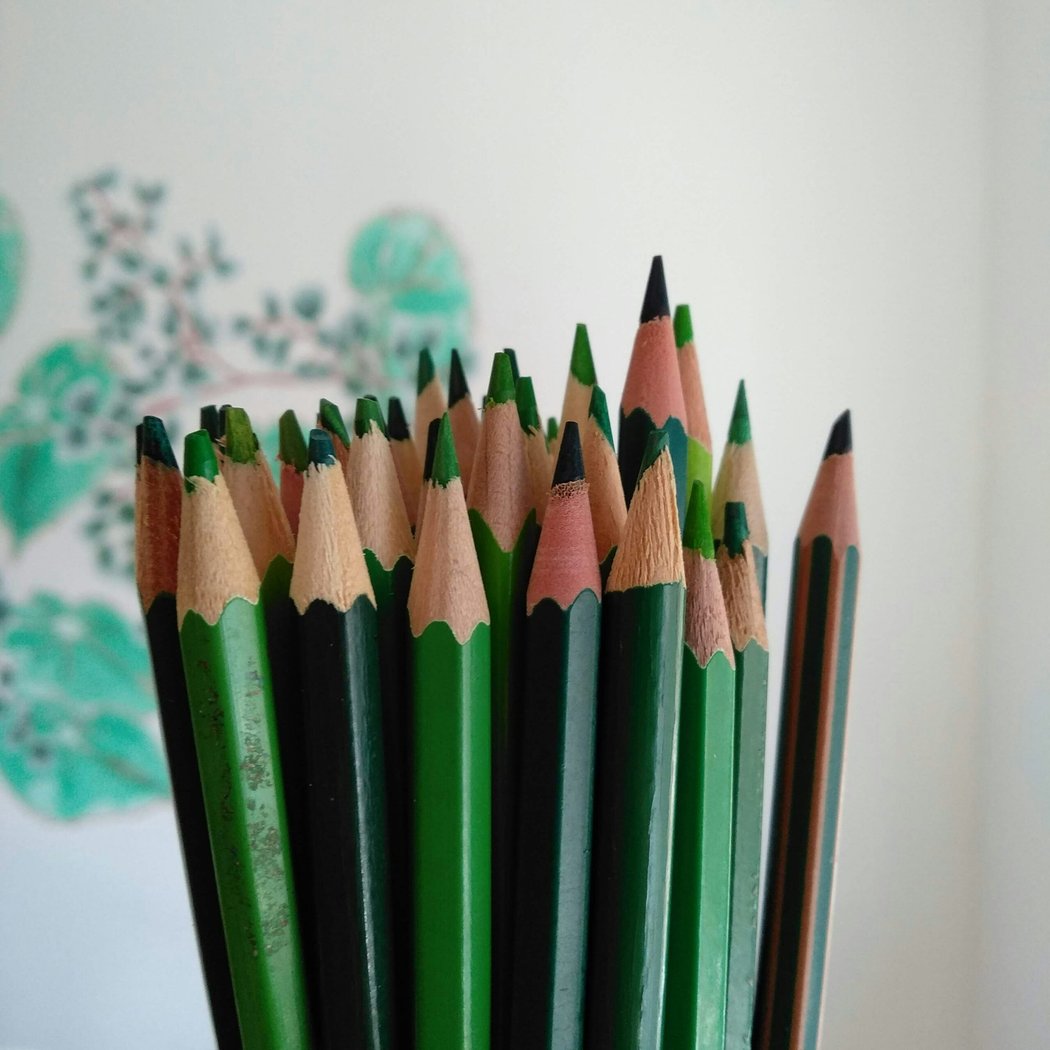 La couleur verte 1