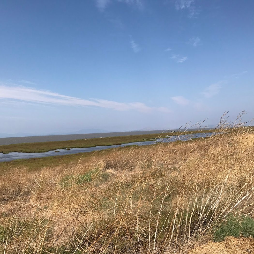 Mare Island San Pablo Bay Hiking Trail 2