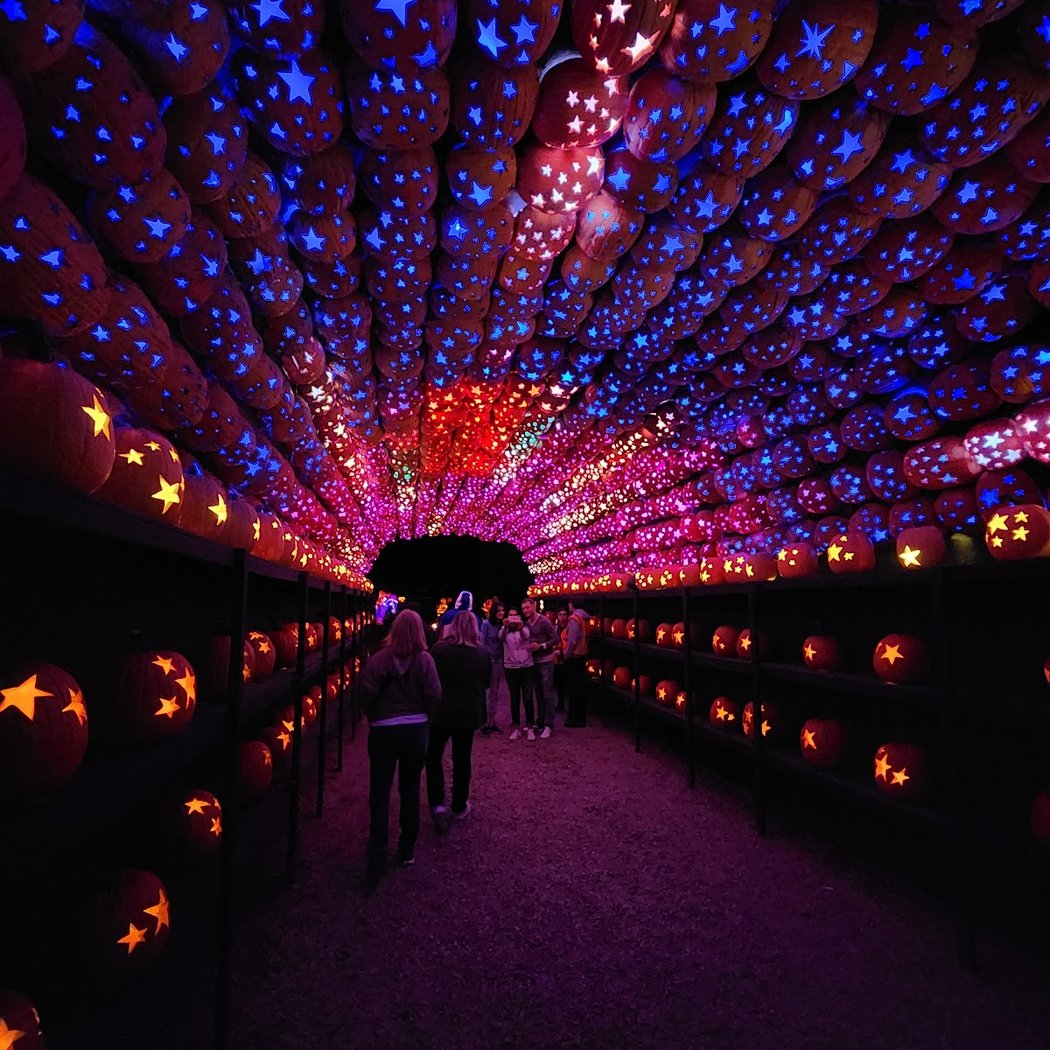 Pumpkin Wonderland at Van Cortlandt Manor 1
