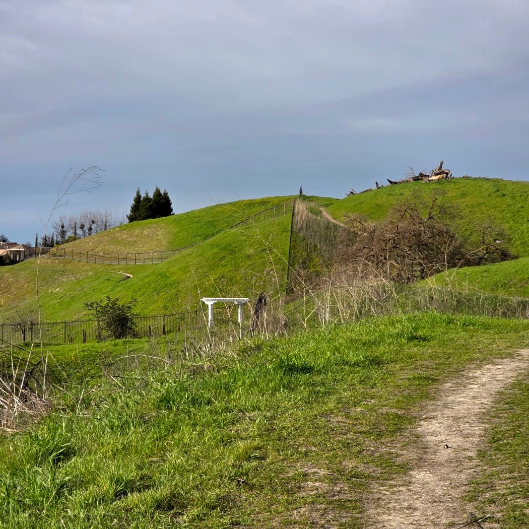 Las Trampas to Mt Diablo Regional Trail 3