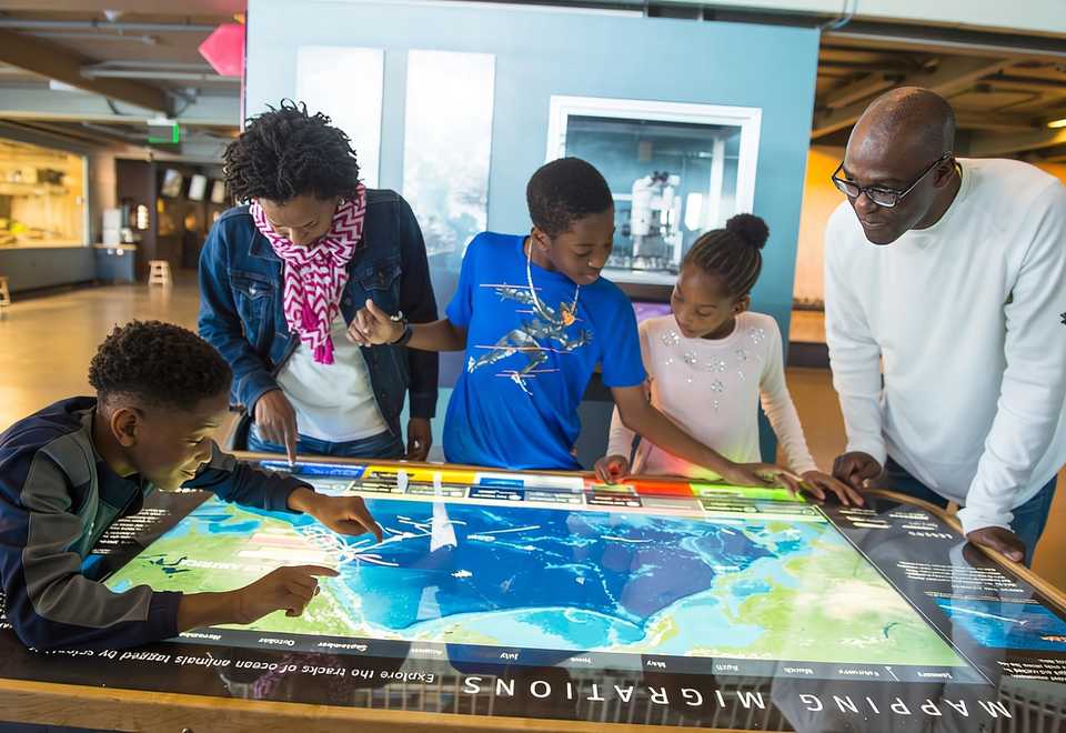 Bay Day at the Exploratorium 1