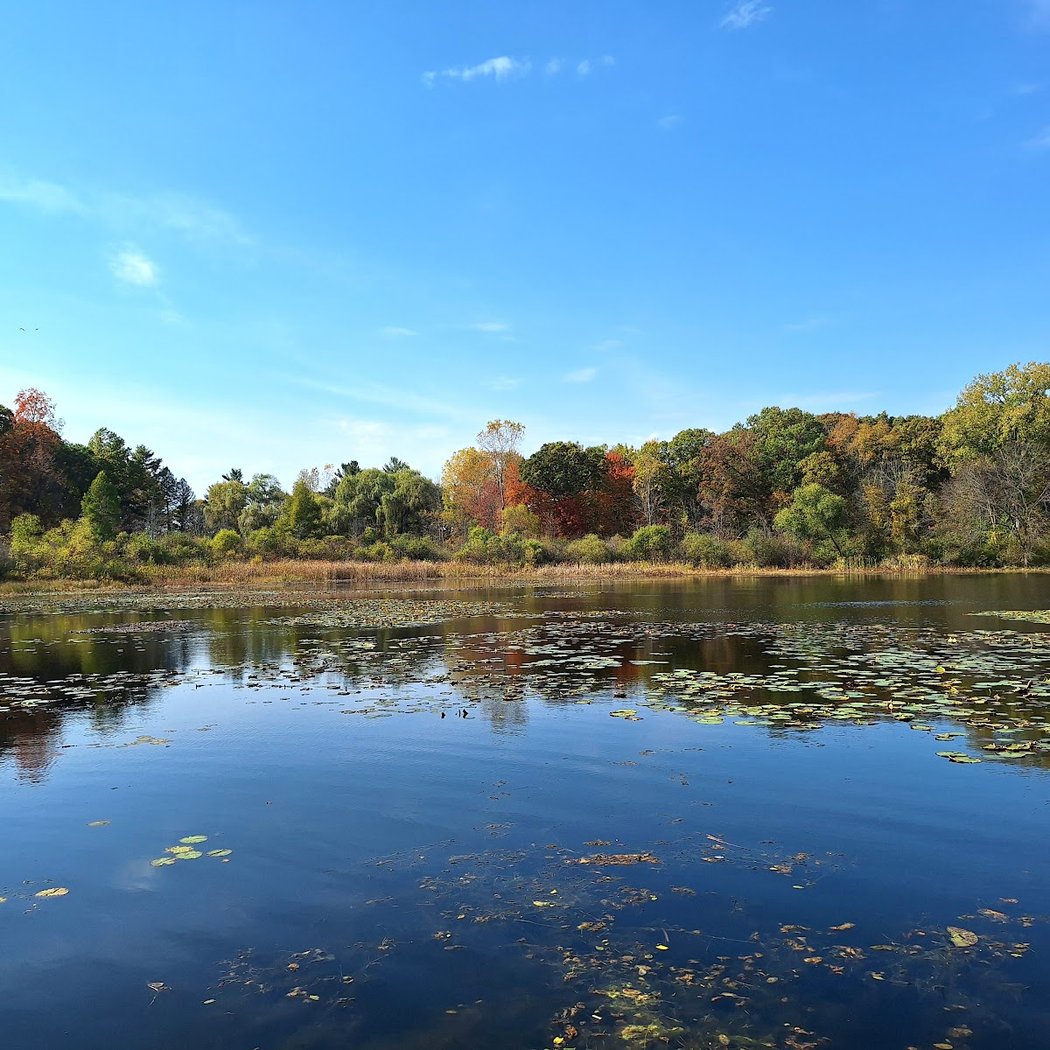 Lost Lake Open House 2