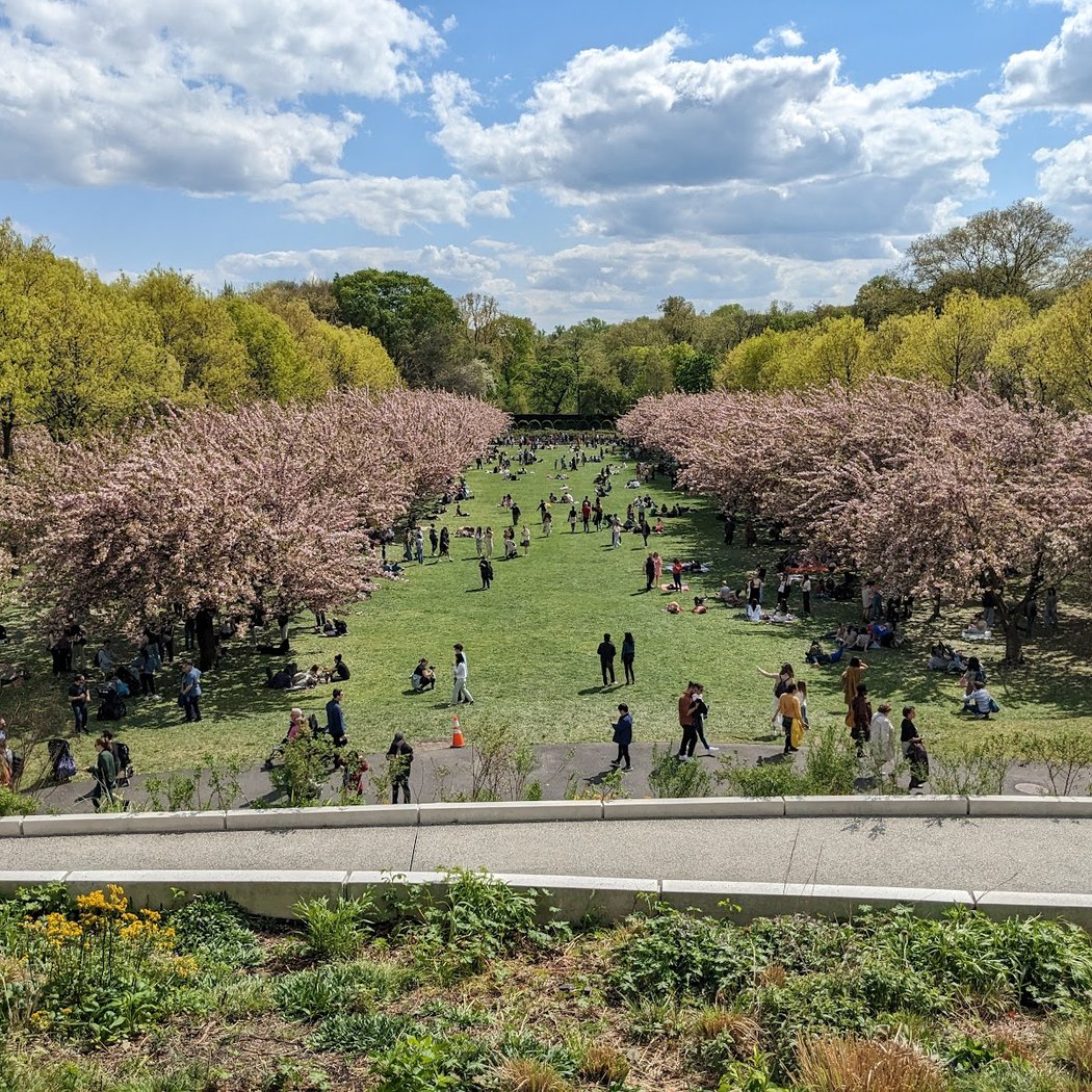Robert W. Wilson Overlook 1