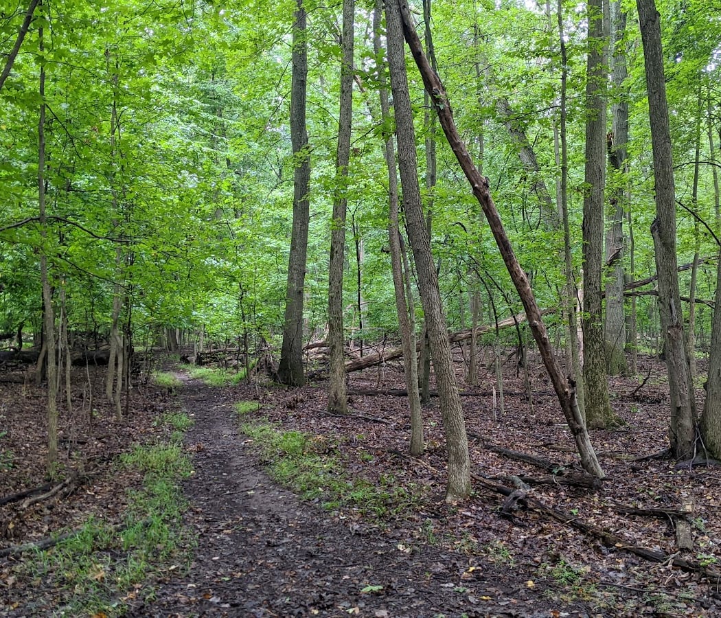 Latourette Park 3