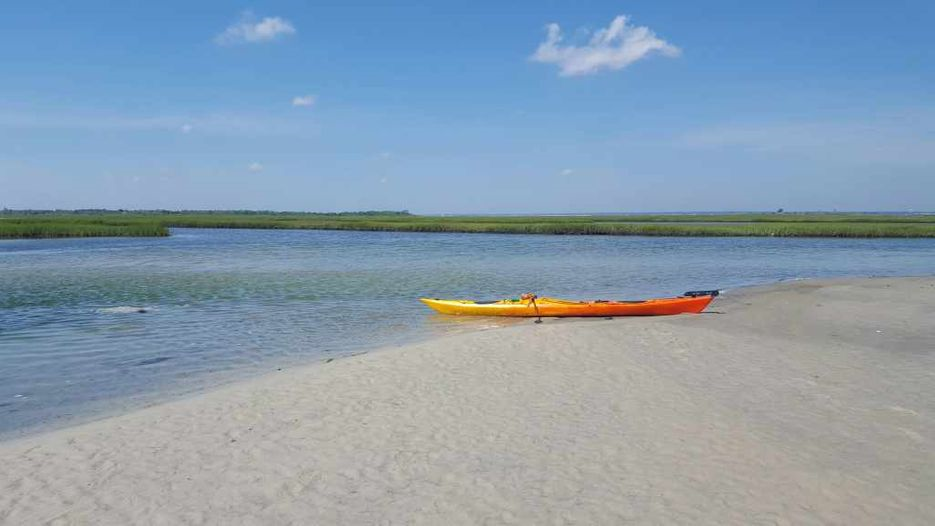Sedge Island Kayak EcoTour 3