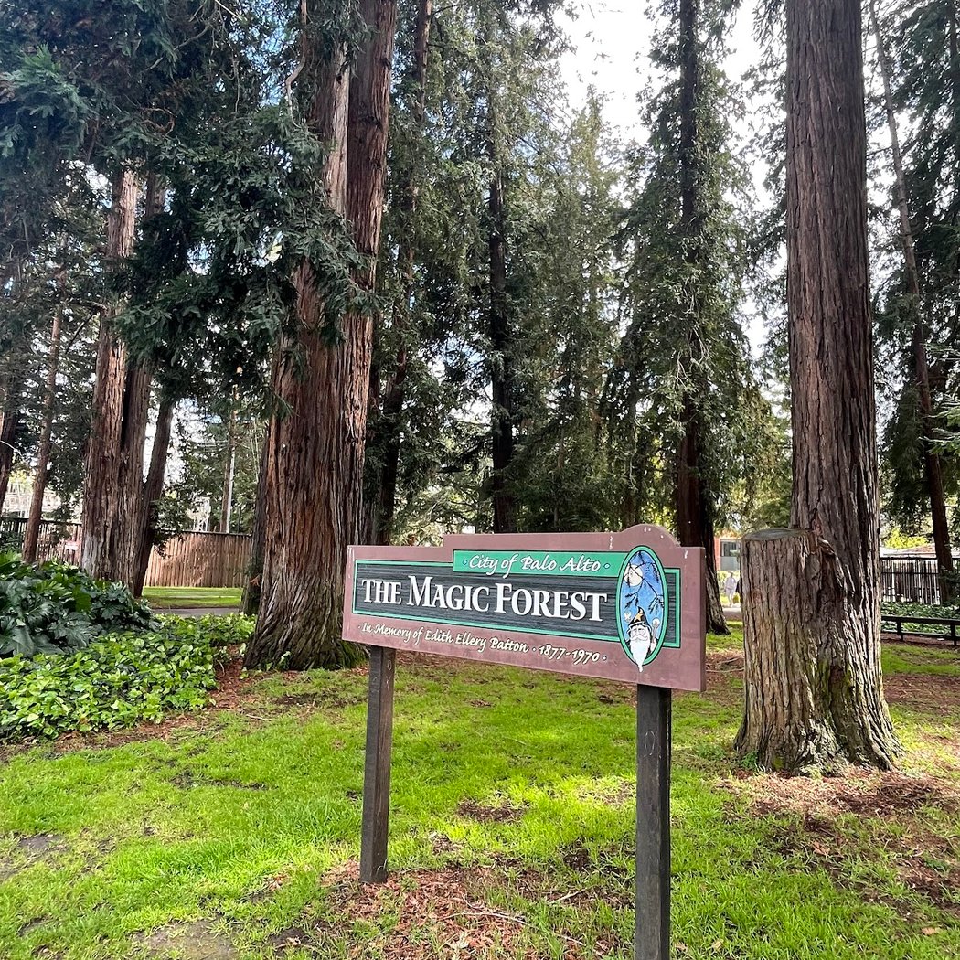 The Magic Forest 1