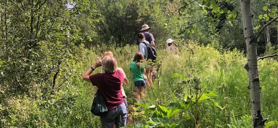Nature Walk, Avon 1