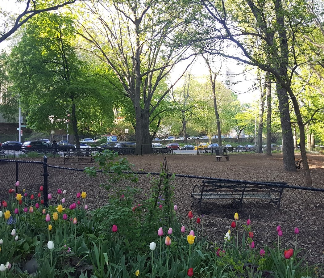Rocky's Dog Run 3